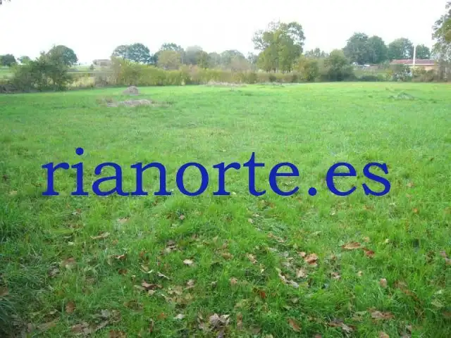 Terreno residencial en venta en Viella - Granda - Meres, imagen 2