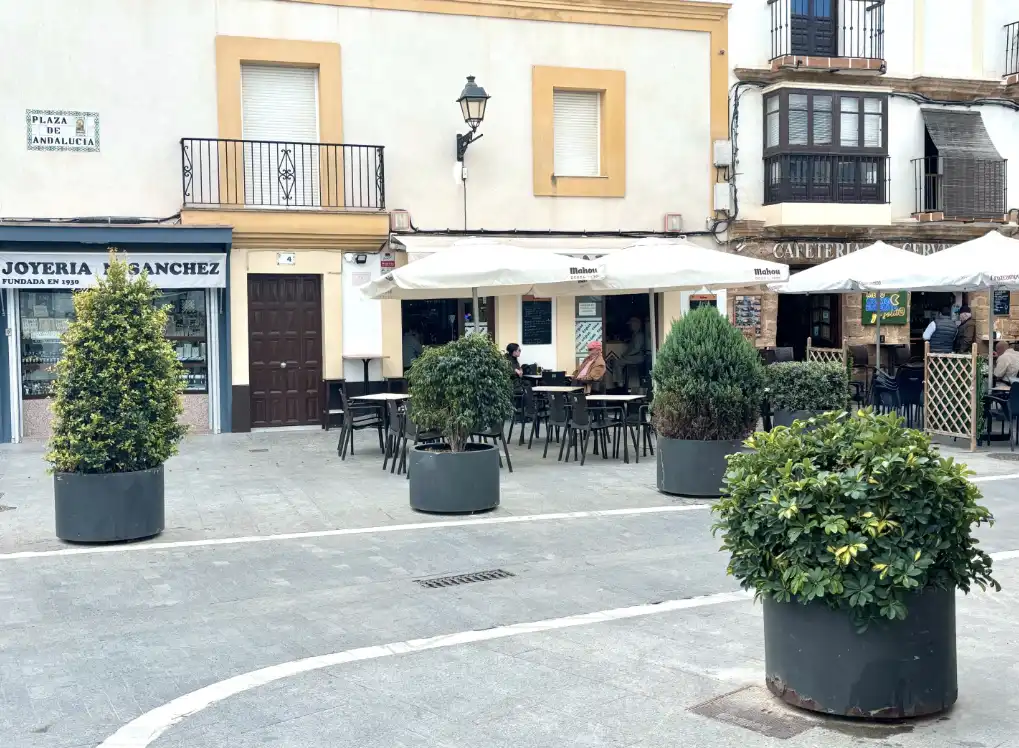 Gewerbefläche zum Verkauf in Centro - La Costilla, imagen 2