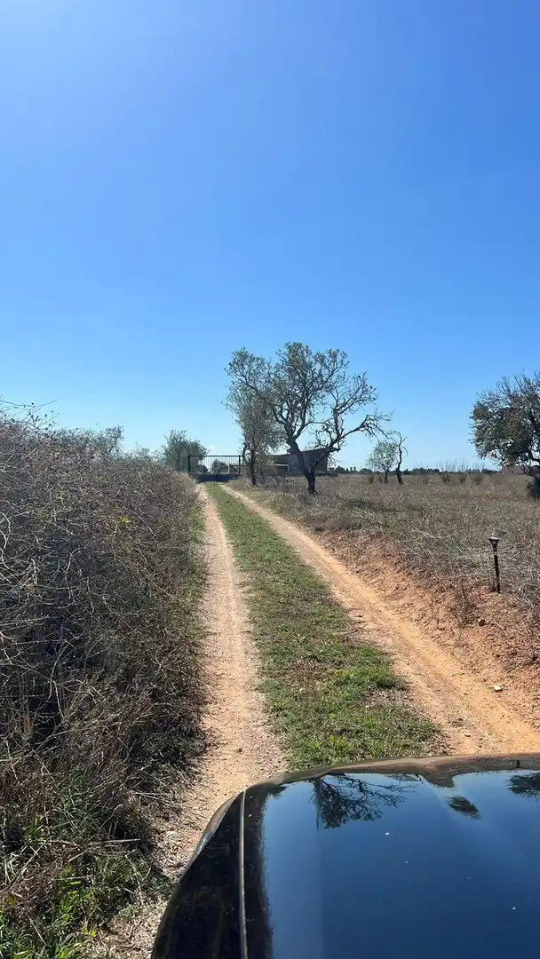 Local de lloguer en Campos