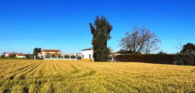 Terrain rustique à vendre à Don Benito, imagen 3