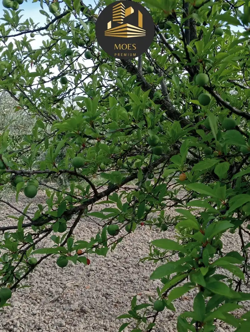 Villa zum Verkauf in Begíjar, imagen 34