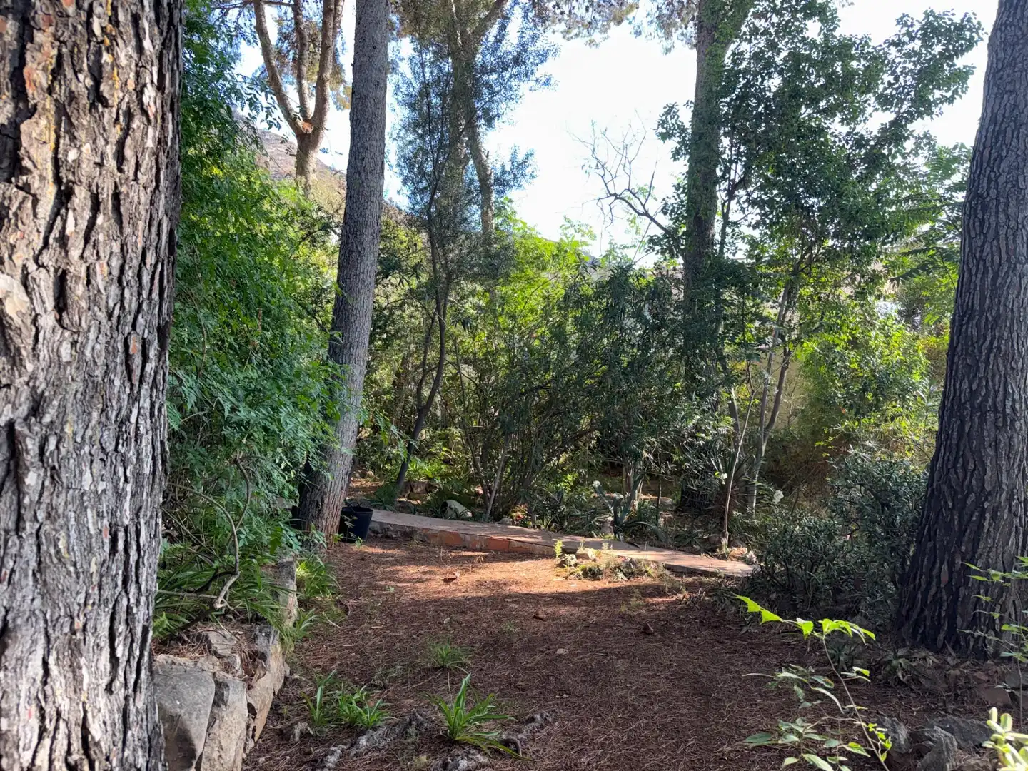 Villa avec jardin à vendre à Calle ALTO DE LA VILLA, imagen 40