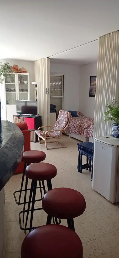 Sala d'estar de Àtic en venda en Fuengirola amb Terrassa