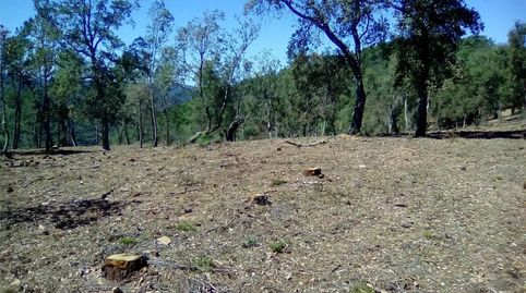 Foto 5 von Grundstücke zum Verkauf in Finca el Pozuelo, 1, Valdelarco, Huelva