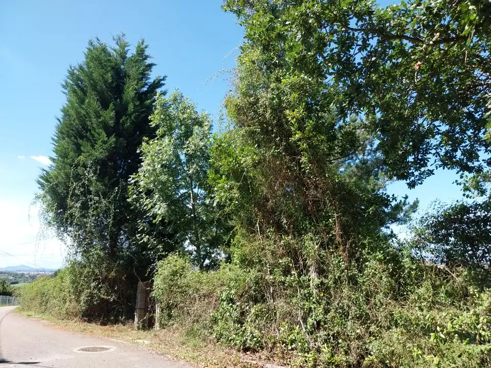 Country house zum Verkauf in Camino de les Vegues, 836, Bernueces