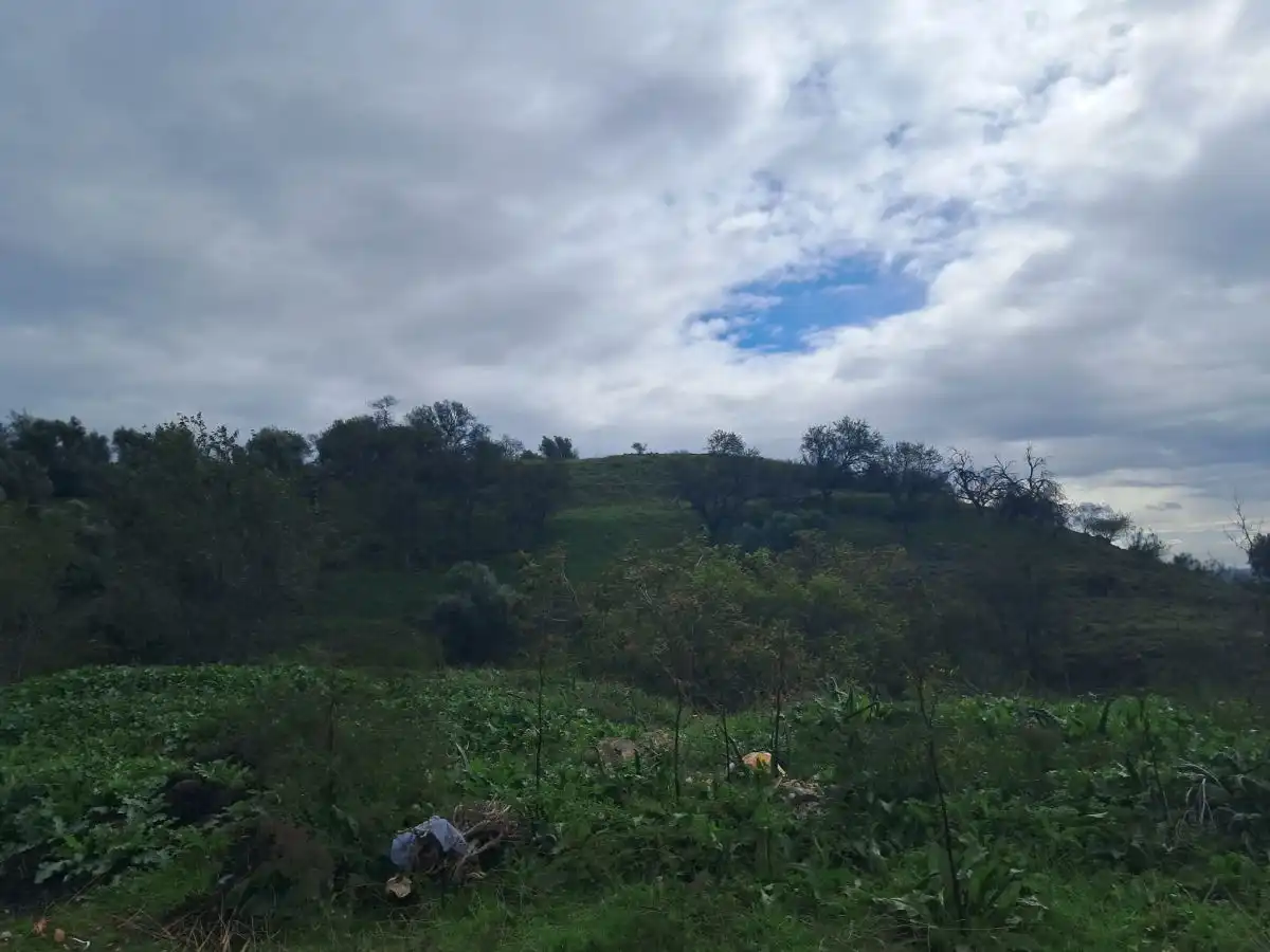 Finca rústica en venda en Becerril de la Sierra