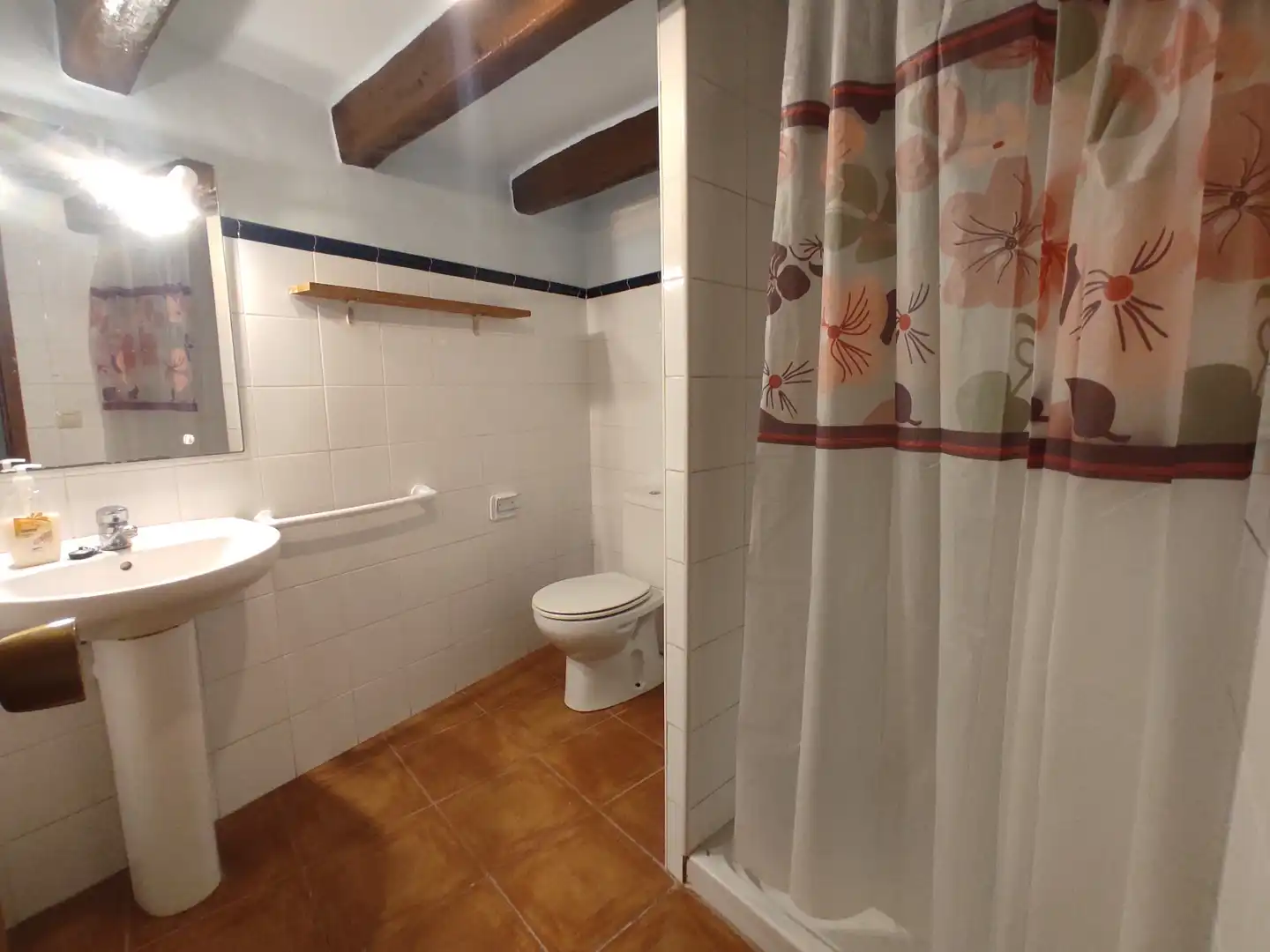 Bany de Casa o xalet en venda en La Jana amb Terrassa, Traster i Microones