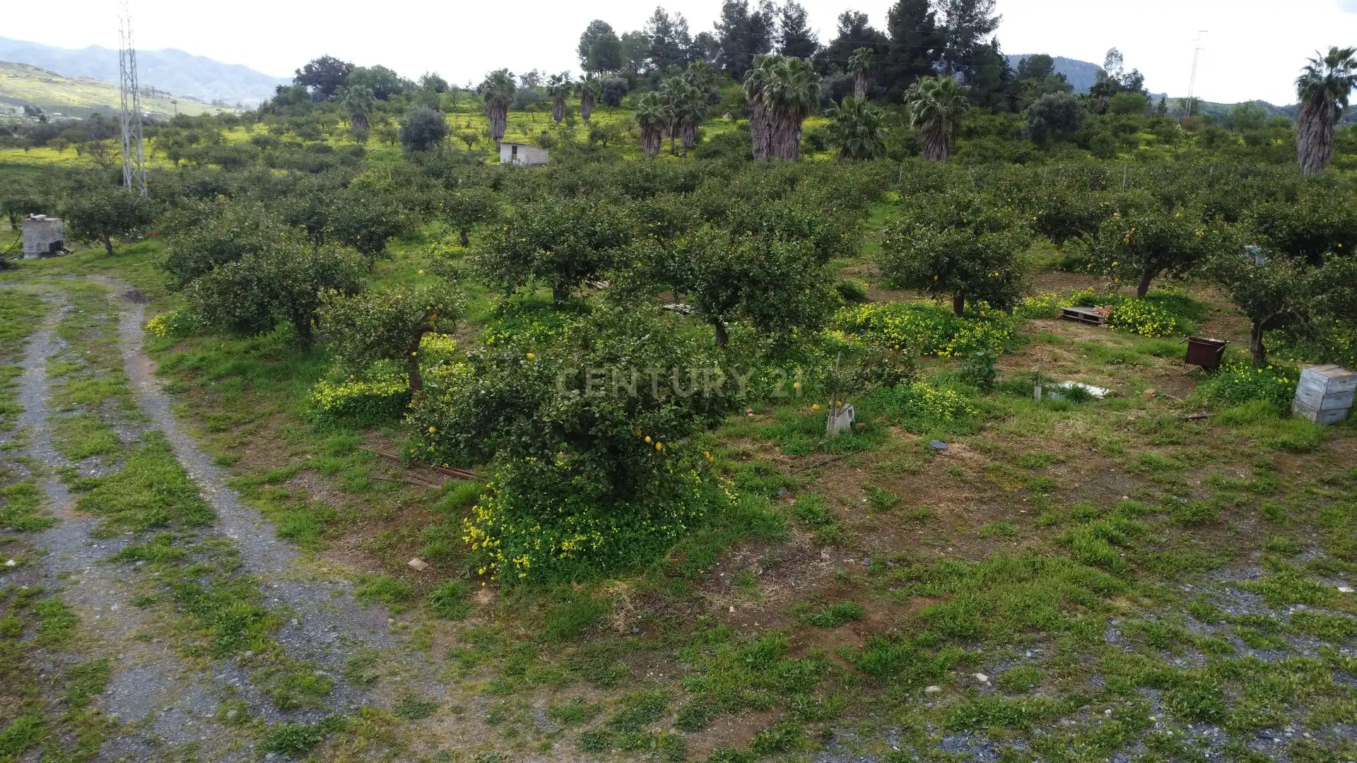 Terreni e lotti in vendita a Diseminado Poligono 22, 75, 29593, Málaga, Spain, imagen 3