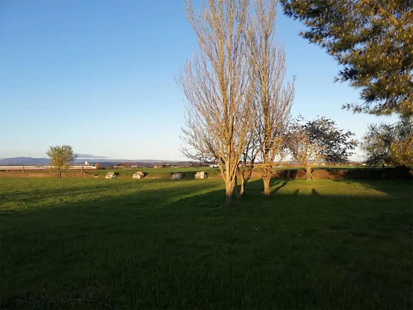 Finca rústica en venda en Xinzo de Limia