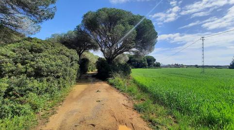 Photo 5 of Land for sale in Ruperto, 1, Roche, Cádiz