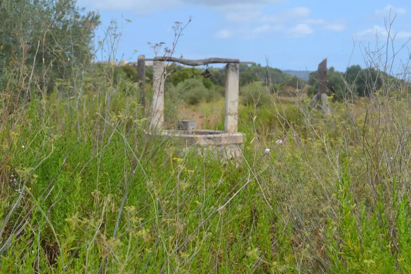 Casa rustica in vendita a Campanet, imagen 10