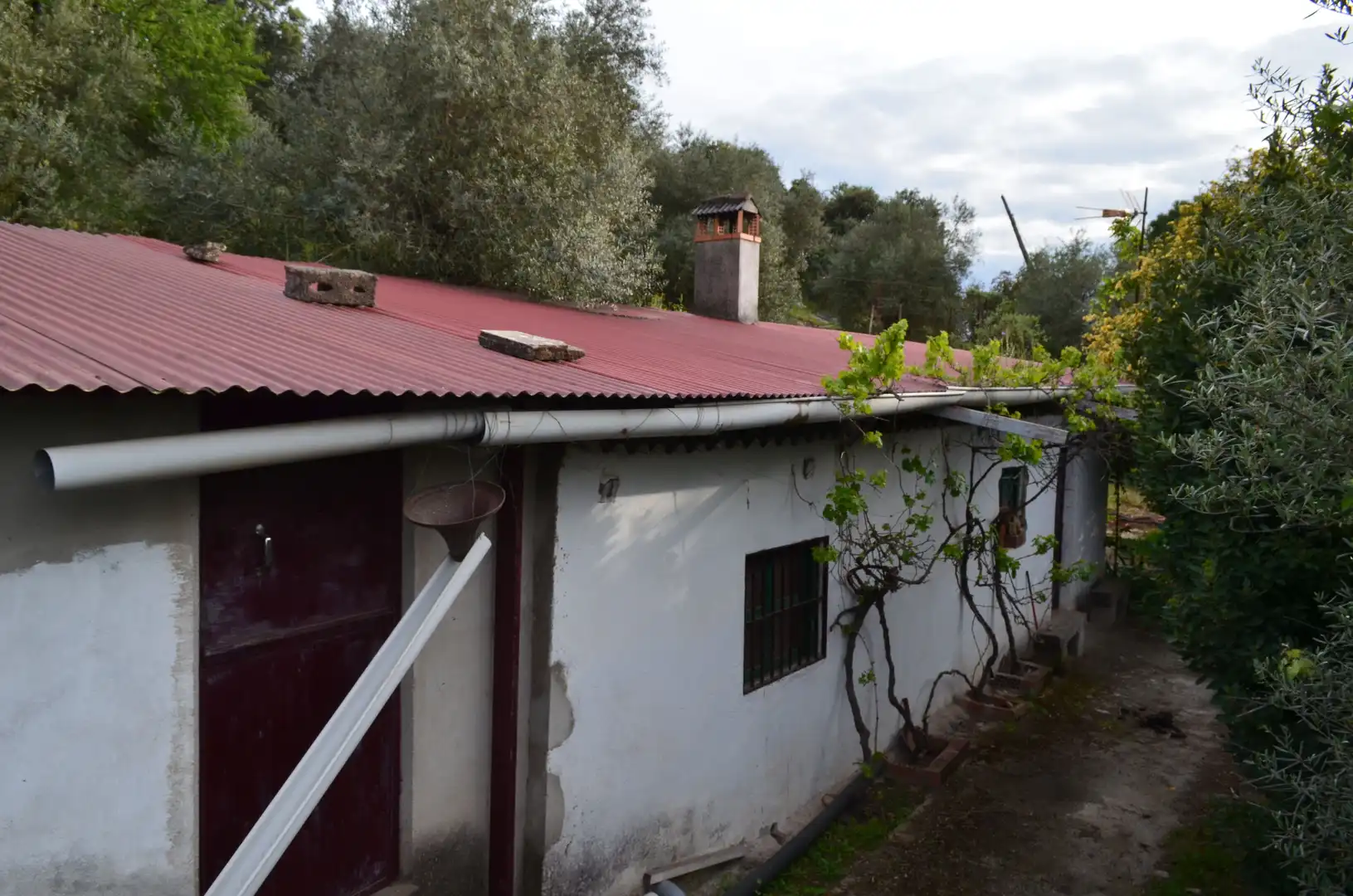 Terreni e lotti in vendita a Zona Sur - Av. de España - San Miguel, imagen 9