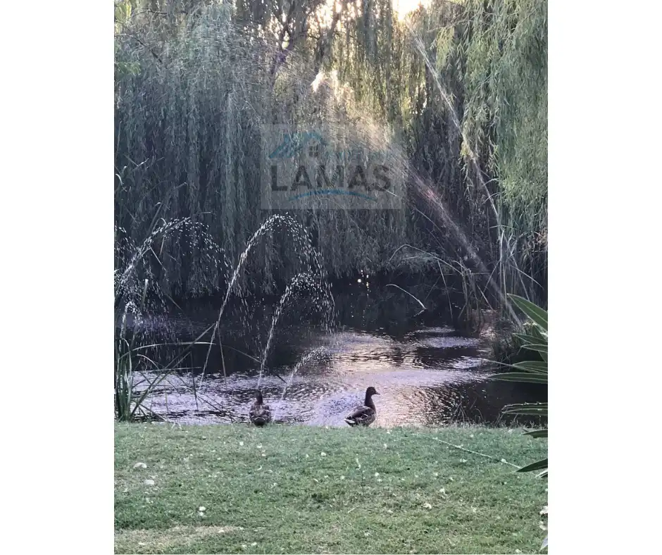 Jardí de Finca rústica en venda en Belvís de Monroy amb Aire condicionat, Jardí privat i Piscina