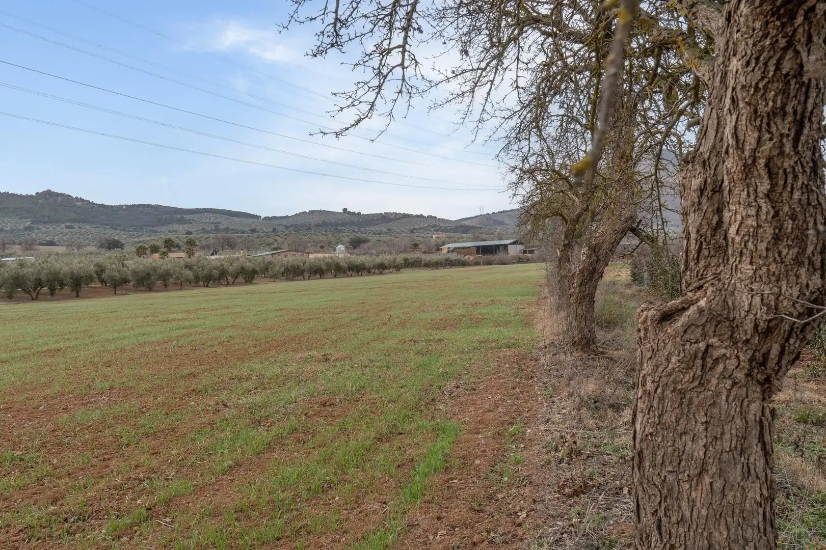 Terrenys i solars en venda a Polígono 23 Parcela 63 LA ZANJA. ALBOLOTE (GRANAD 23, imagen 41