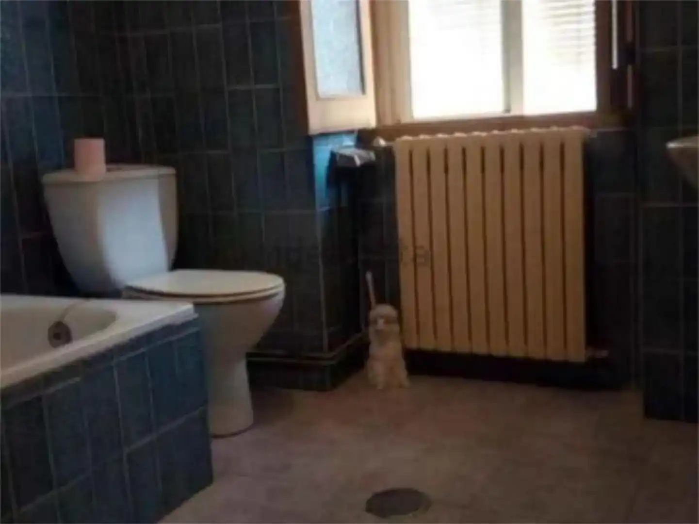Baño de Dúplex en venta en Daimiel con Aire acondicionado, Trastero y Balcón