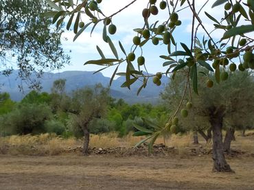 Maison rustique à vendre à Polígono 63 Paraje 116 BURGA 56