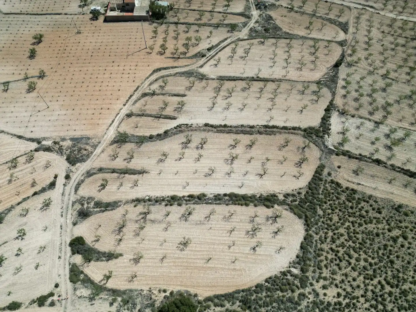 Terreny residencial en venda a Jumilla, imagen 2