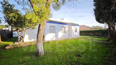 Foto 5 de Casa o chalet en venta en Urbanizacion Capricho, Loreto, Espartinas