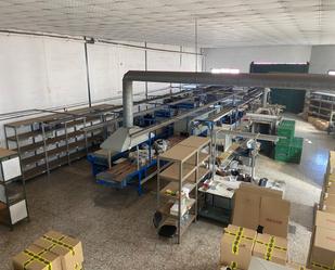 Industrial buildings for sale in Elche / Elx
