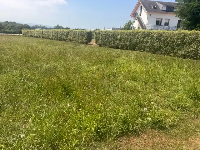 Terrain résidentiel à vendre à Caserio Cortaficio, imagen 6