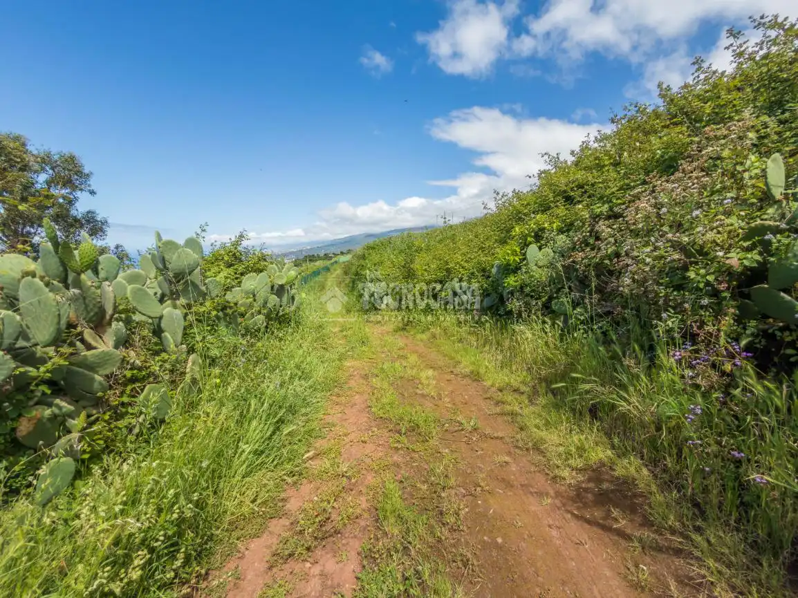 Land for sale in Icod de los Vinos