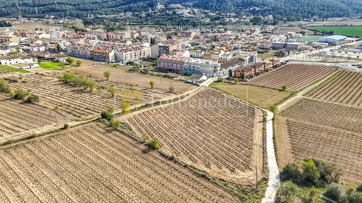 Terreny residencial en venda a Carrer de les Vinyes, imagen 13