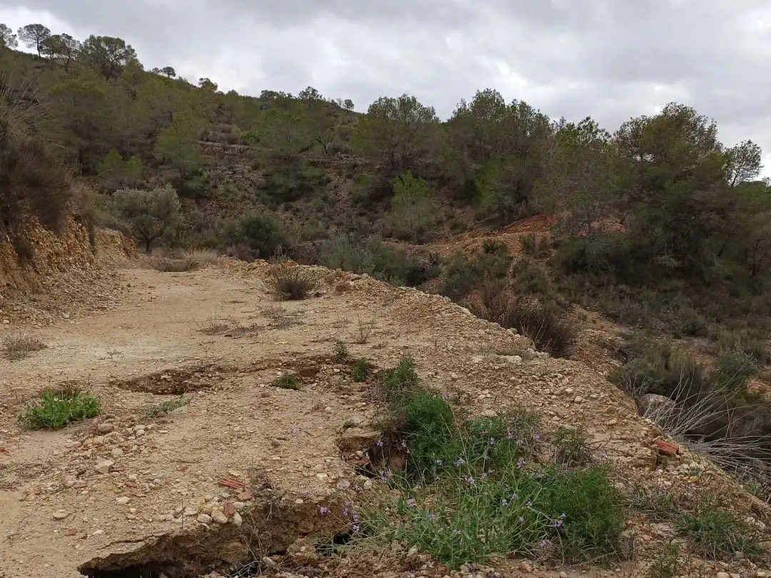 Casa rústica amb jardí en venda a Camino el Puntal 1, imagen 3