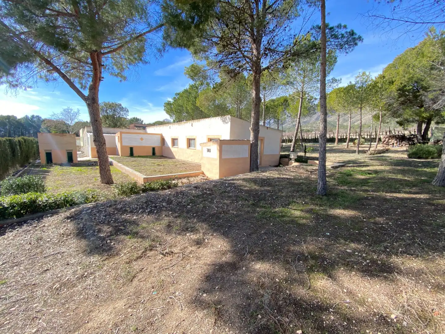 Vista exterior de Casa o chalet en venta en Salinas con Aire acondicionado, Jardín privado y Terraza