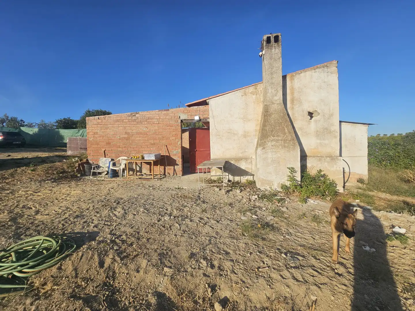Rural land for sale in Hinojos, imagen 4