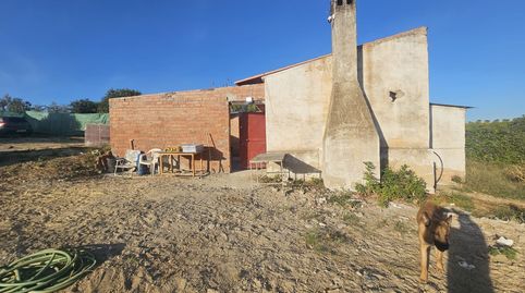 PARCELA RUSTICA, immagine 4