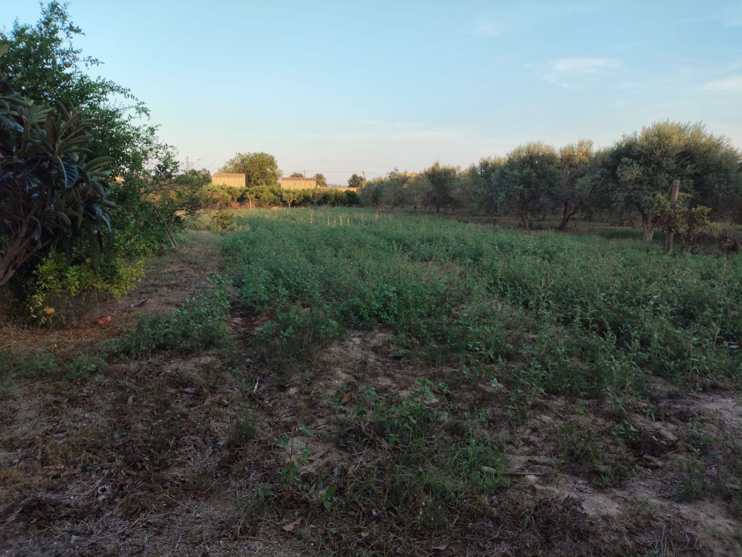 Finca rústica en venda en Tortosa