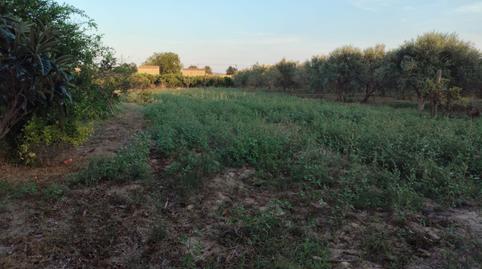 Photo 3 of Country house for sale in Urbanitzacions, Tarragona