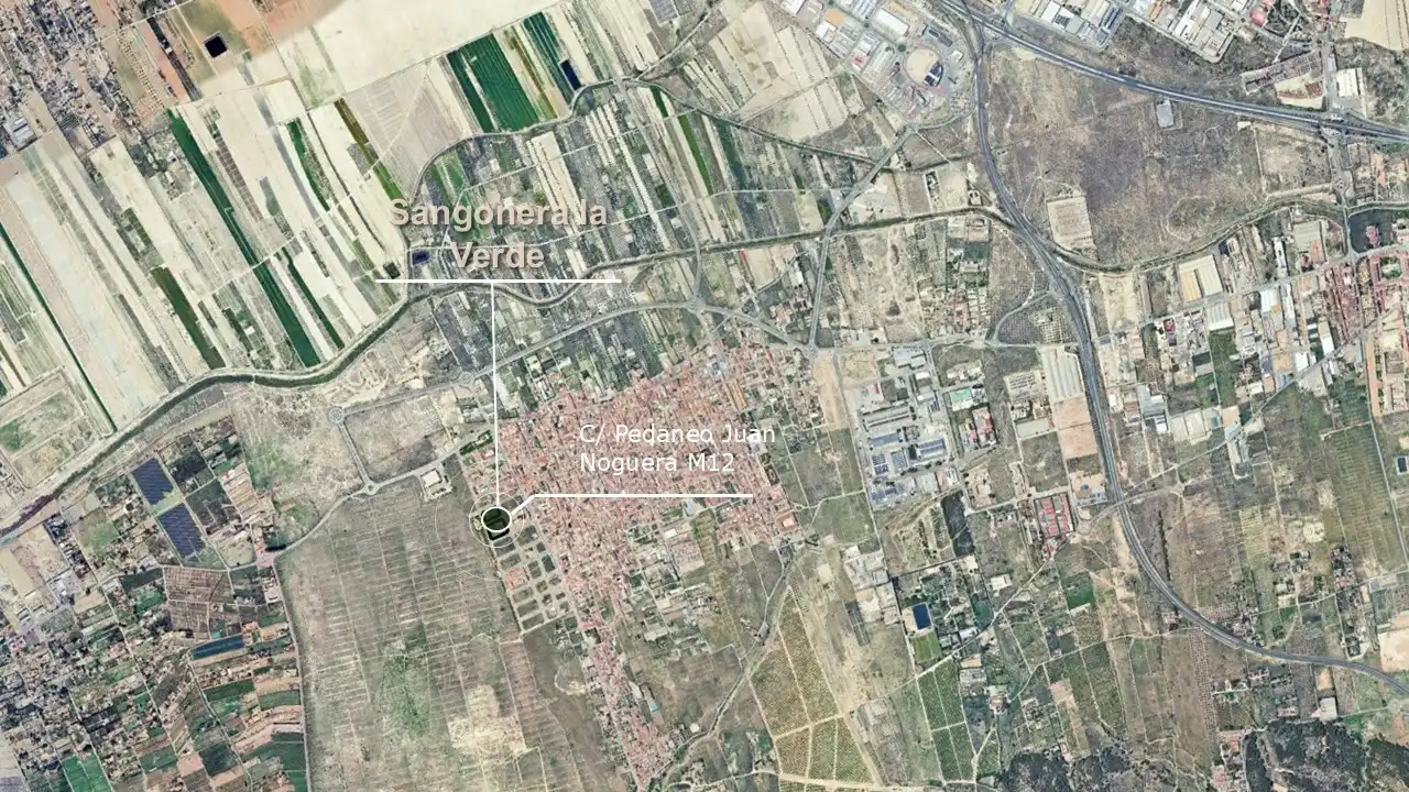Terreny rústic en venda a C/ Pedaneo Juan Noguera, imagen 4