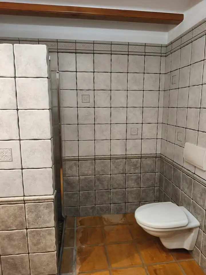 Baño de Casa o chalet en venta en Favara con Jardín privado, Terraza y Piscina