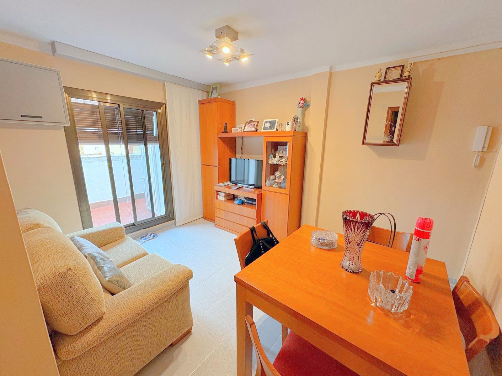 Living room of Flat for sale in L'Hospitalet de Llobregat  with Air Conditioner, Terrace and Furnished