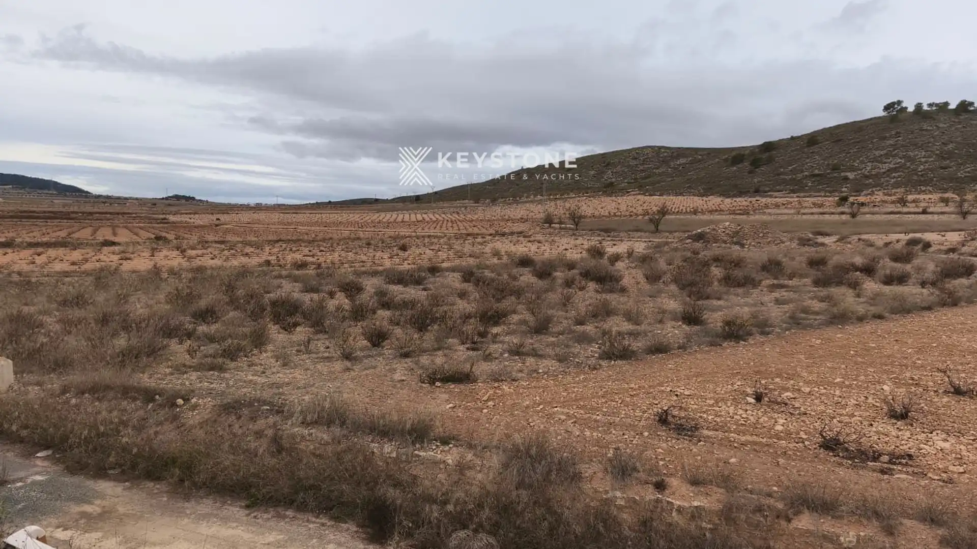 Terreno en venta en Algueña