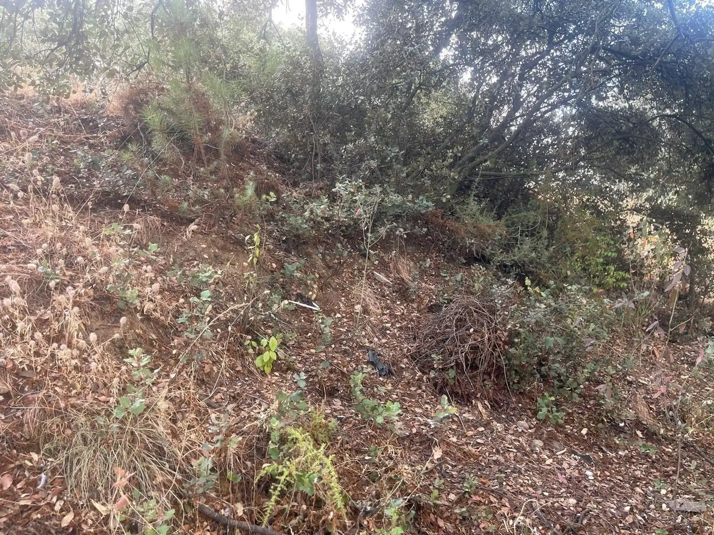 Terreno residenziale in vendita a El Casar, imagen 14