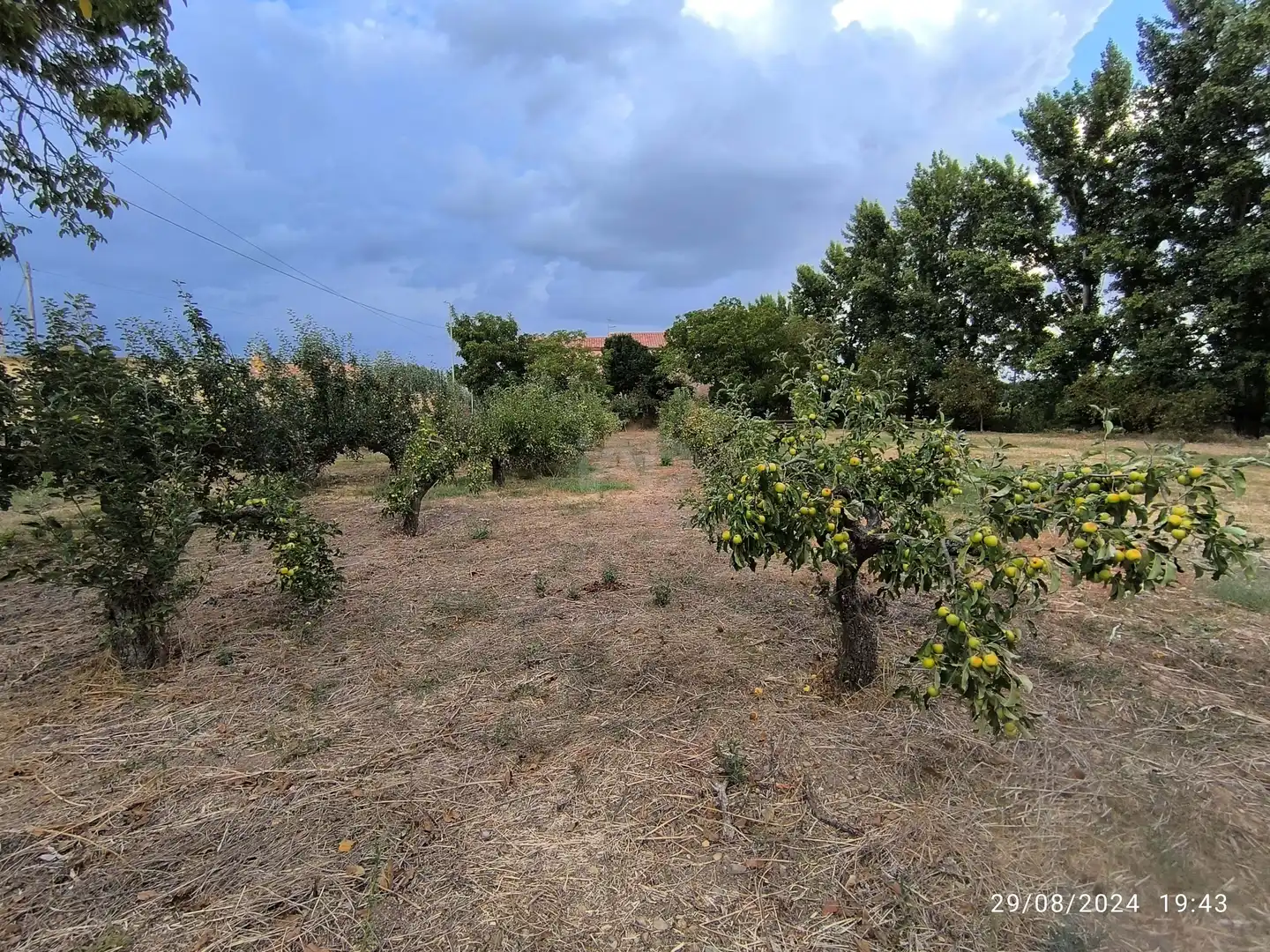 Residencial en venta en San Millán de los Caballeros