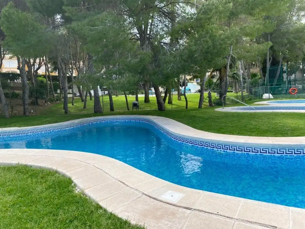 Apartment mit Pool zum Verkauf in Calle SAMANIEGO, imagen 30
