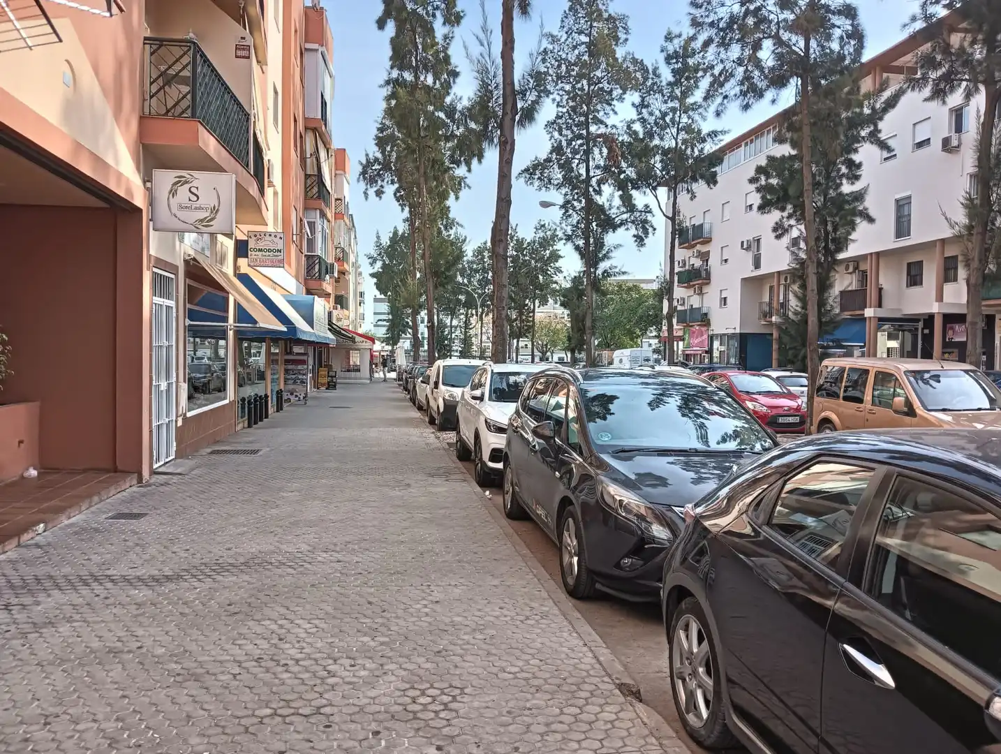 Locale commerciale in affitto a Avenida el Tejar, imagen 13