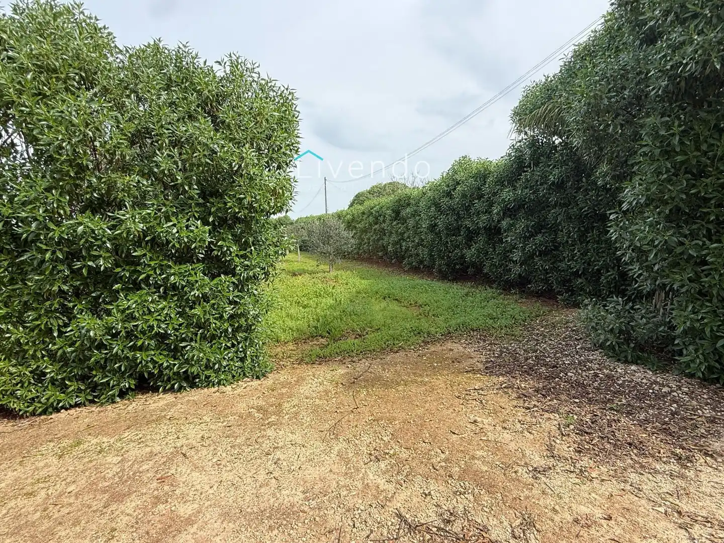 Terreny en venda en Conil de la Frontera