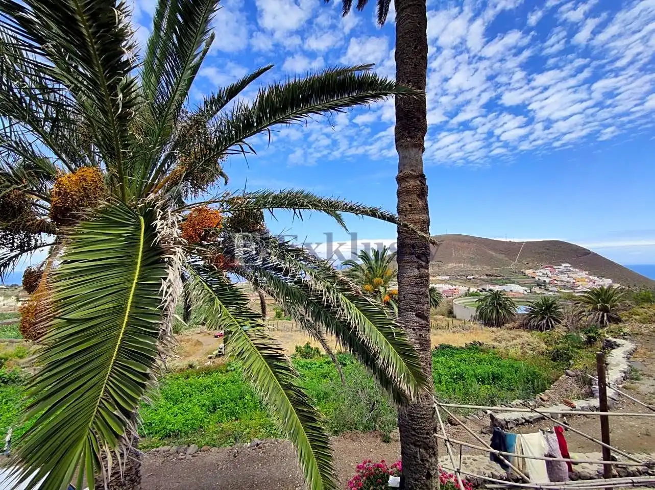 Country homes for sale in Buenavista del Norte