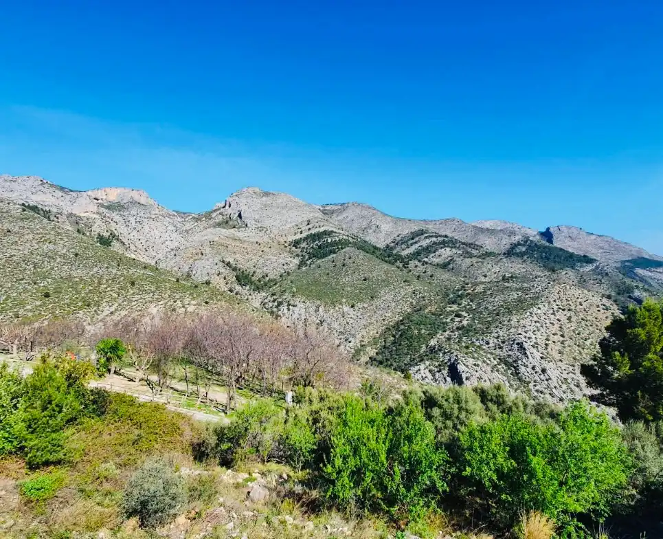 Villa mit Pool zum Verkauf in La Vall de Laguar, imagen 13