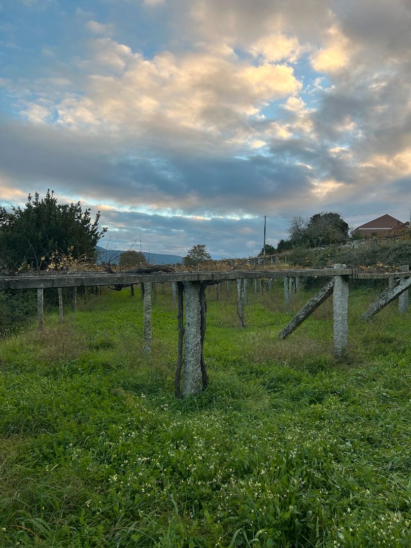 Residencial en venda en Meis