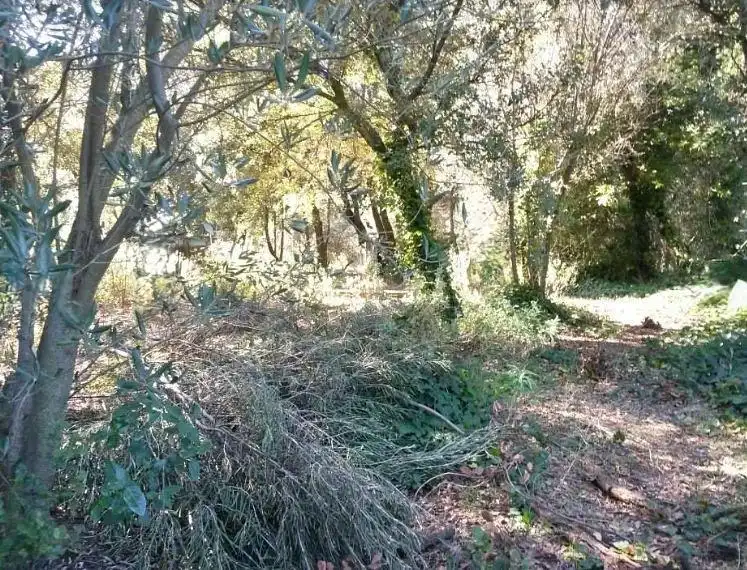 Lands and plots for sale in El Racó - Sant Feliu del Racó, imagen 7