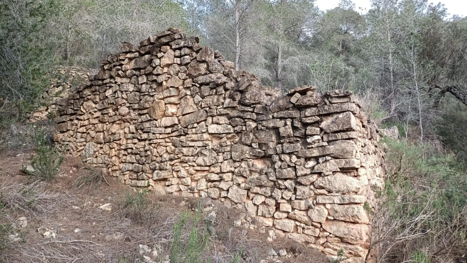 Terreno rustico in vendita a Móra d'Ebre, imagen 8