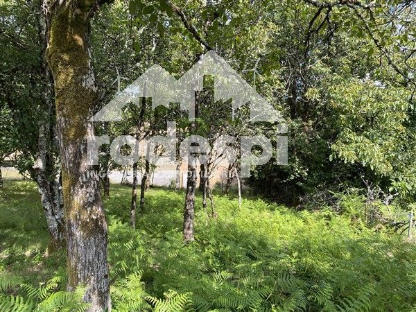 Land for sale in Covelo