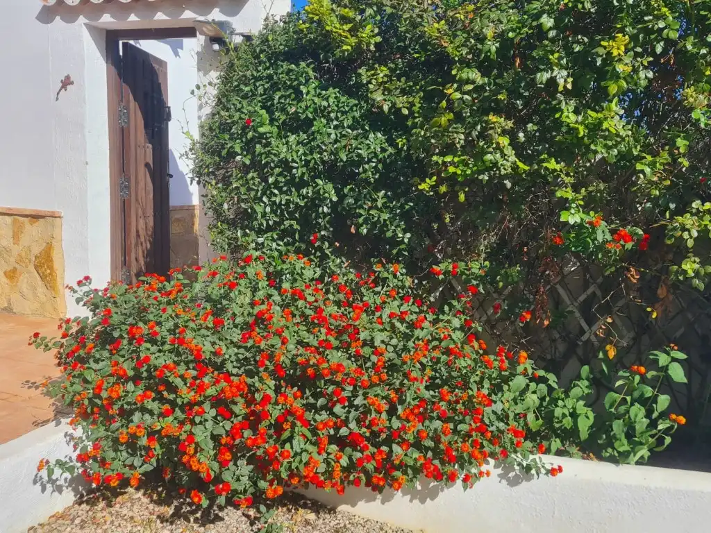 Casa amb piscina en venda a Burjulu - La Mulería, imagen 41