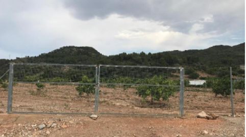 ALT Suelo en Gestalgar, immagine 3