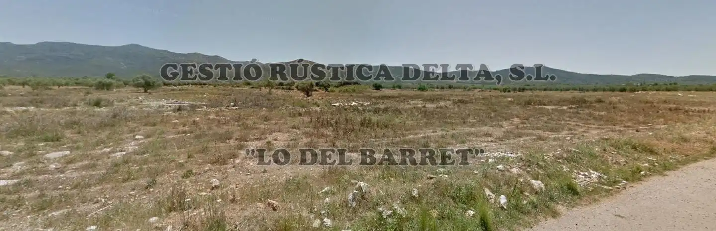 Terreno rústico en venta en Poligono 61, imagen 6